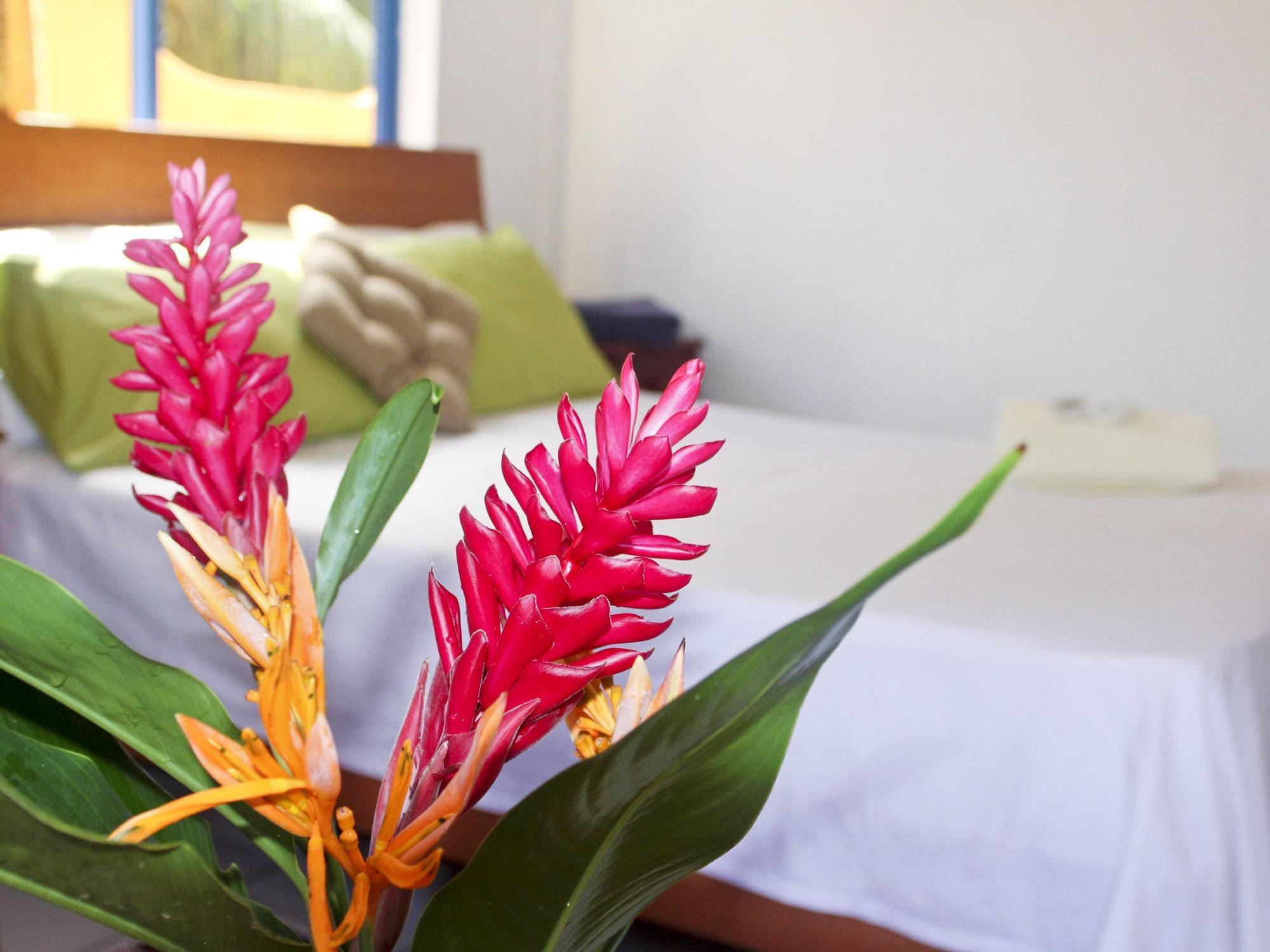 Vicky'S Holiday Apartment Beau Vallon  Eksteriør bilde